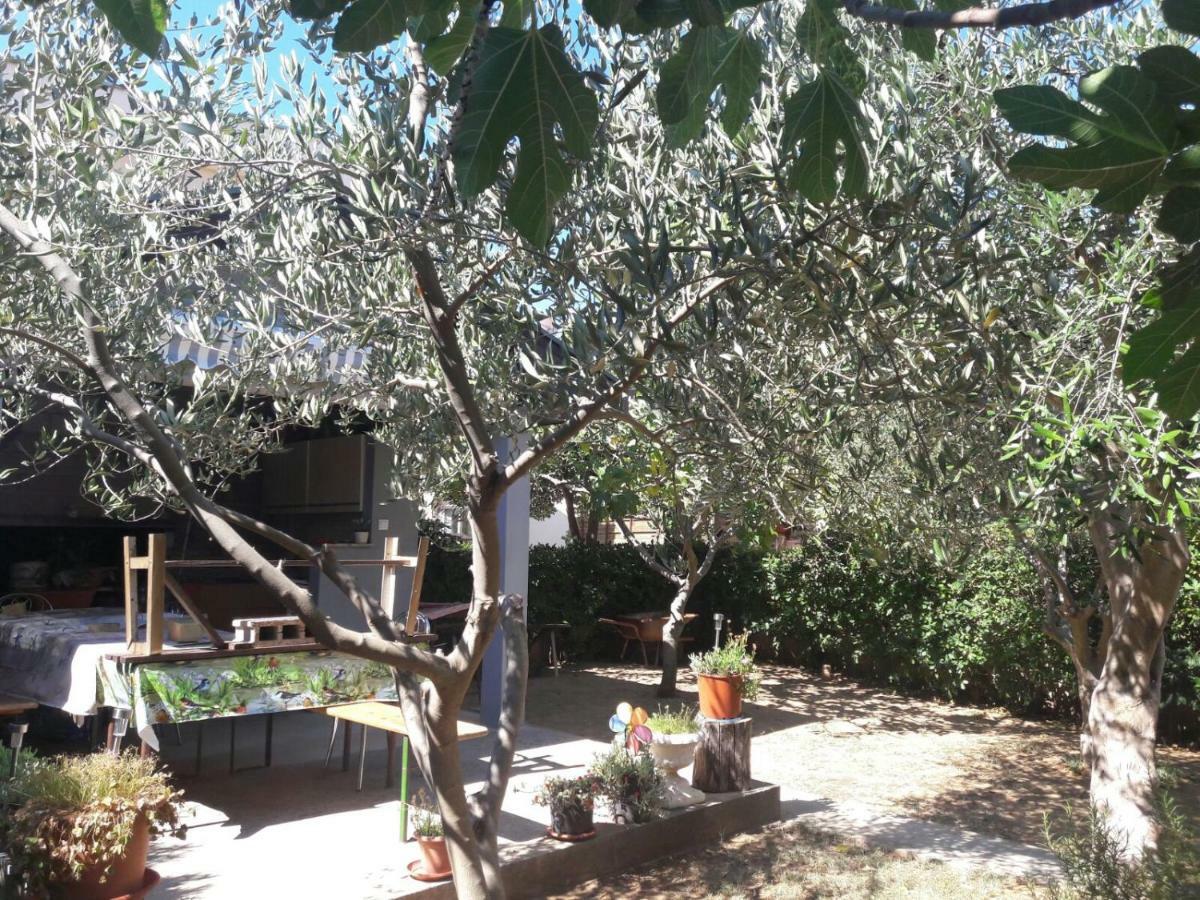 Apartment Zdenka Povljana Εξωτερικό φωτογραφία