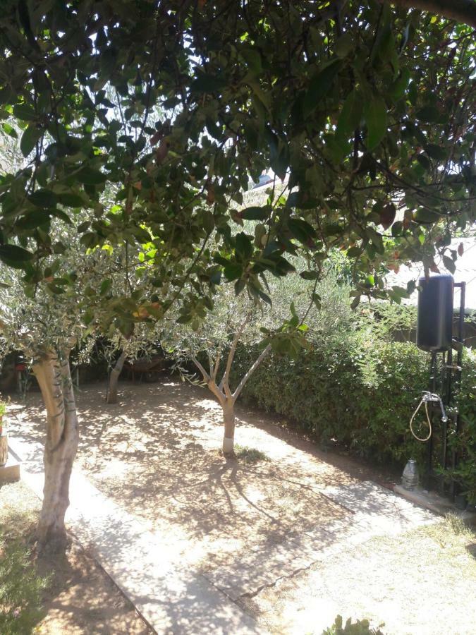 Apartment Zdenka Povljana Εξωτερικό φωτογραφία