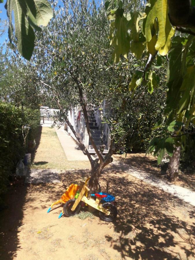 Apartment Zdenka Povljana Εξωτερικό φωτογραφία