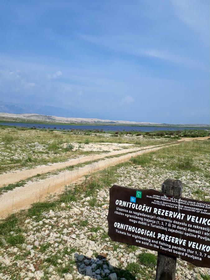 Apartment Zdenka Povljana Εξωτερικό φωτογραφία