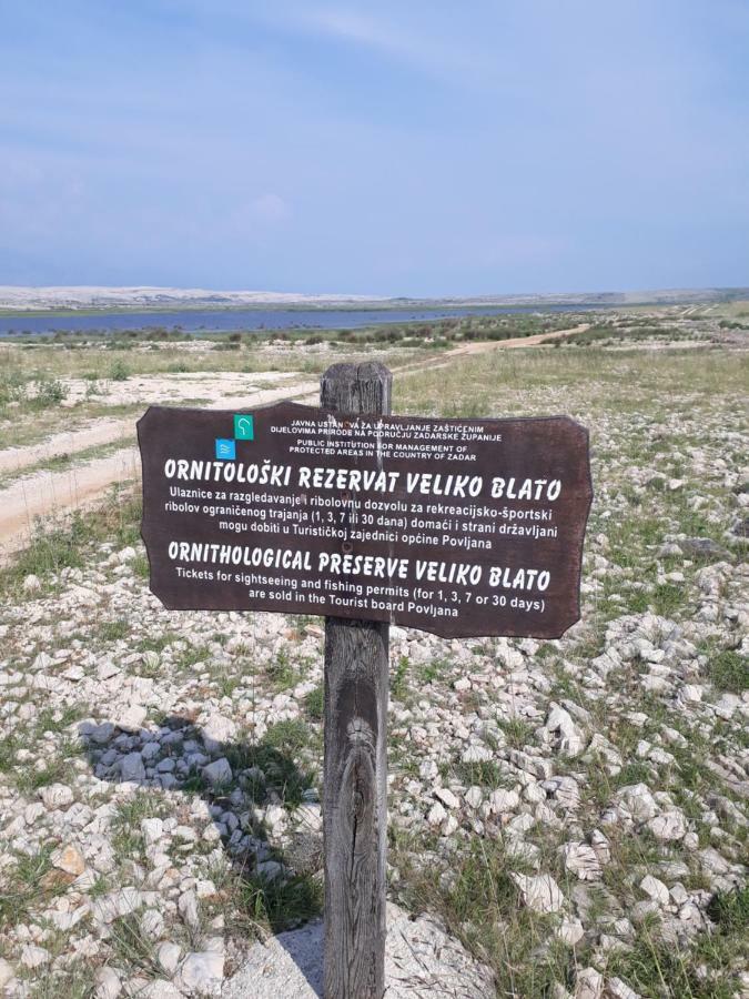 Apartment Zdenka Povljana Εξωτερικό φωτογραφία